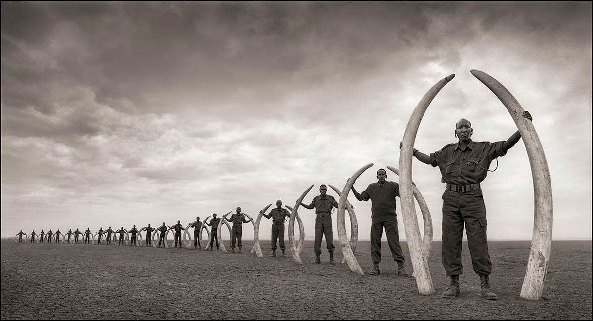 line rangers nick brandt existentialism