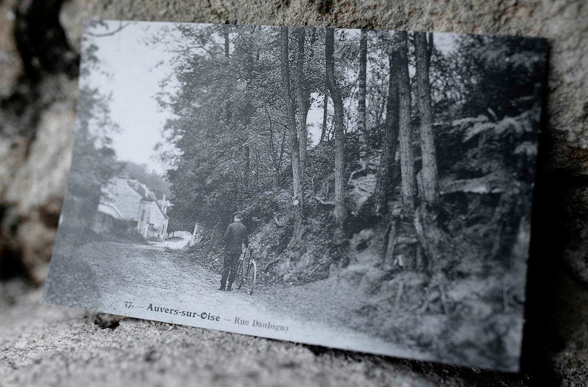 vincent van gogh tree roots postcard