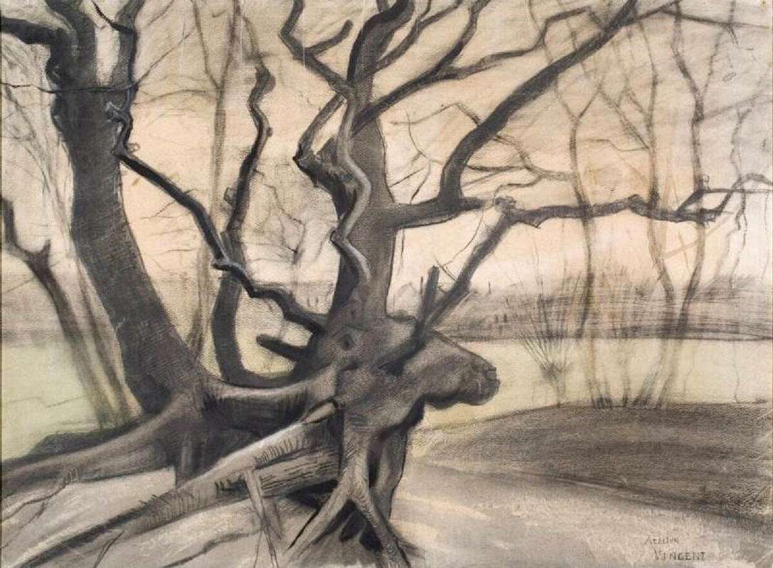 vincent van gogh tree roots the hague