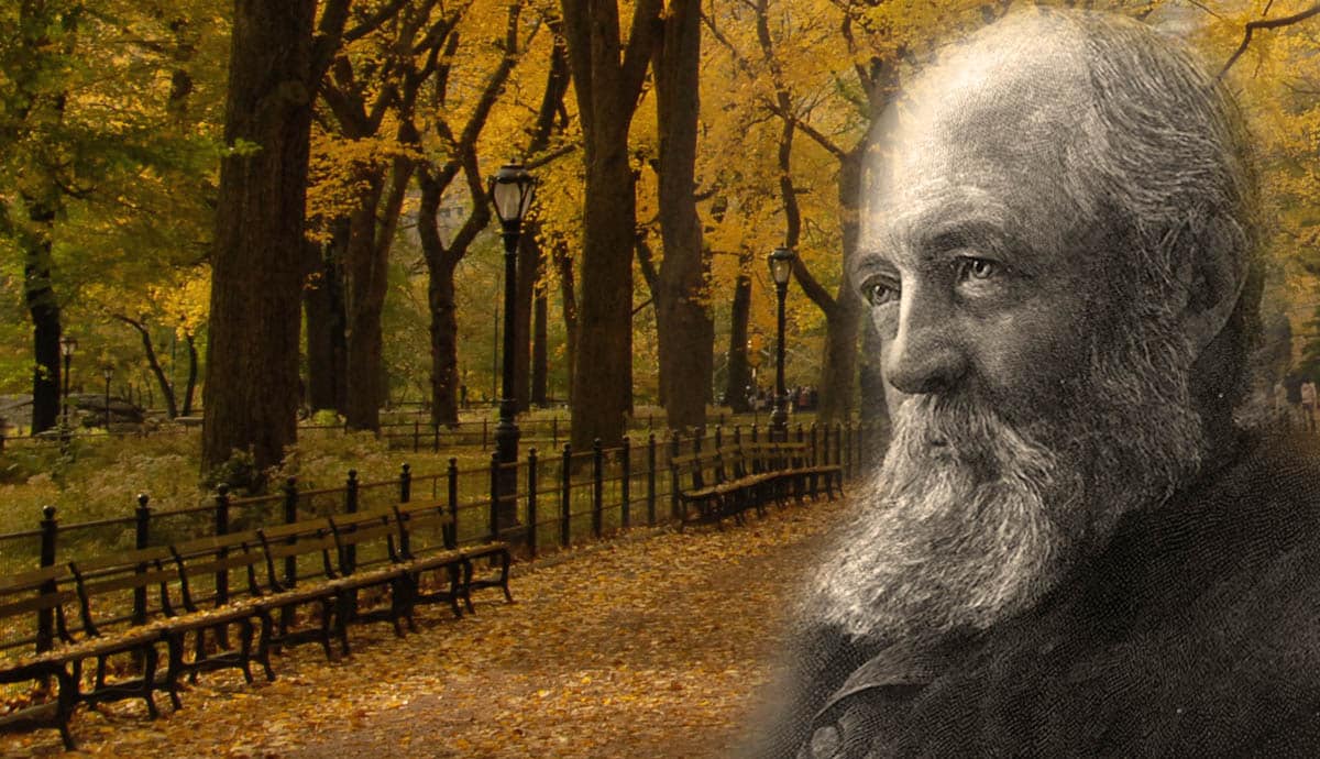 Frederick Law Olmsted in central park