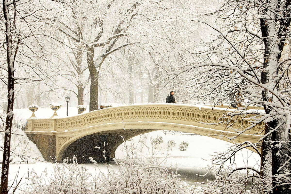 central park bow bridge