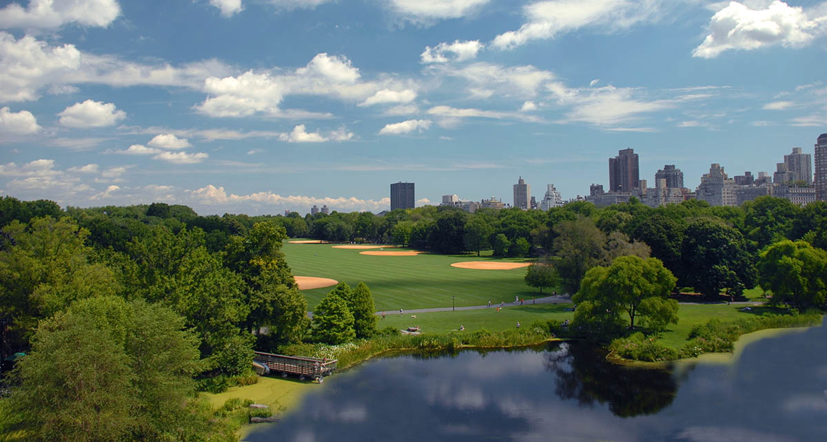 central park great lawn