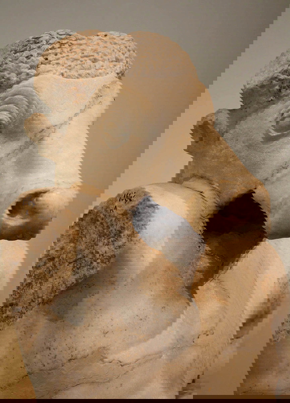 the minotaur