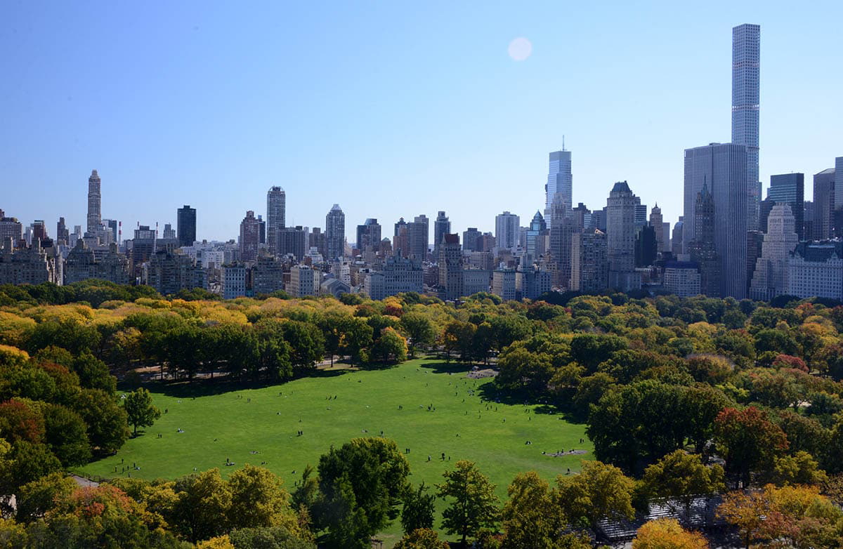 sheep meadow central park