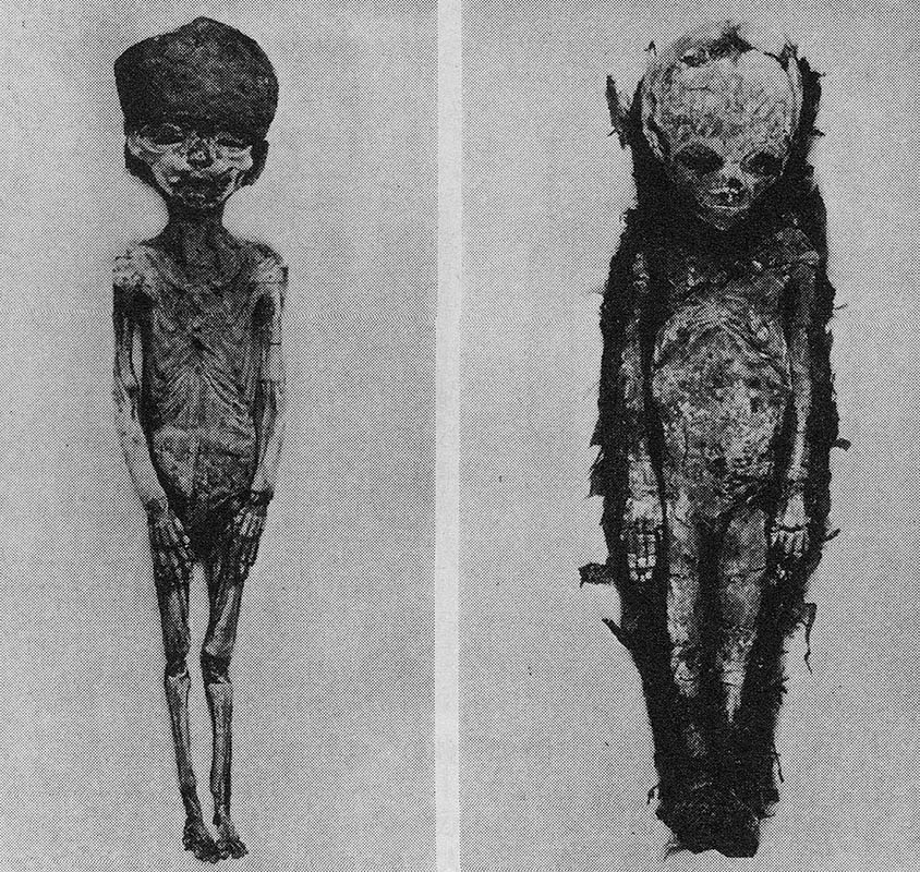 two daughters king tutankhamun fetus mummies