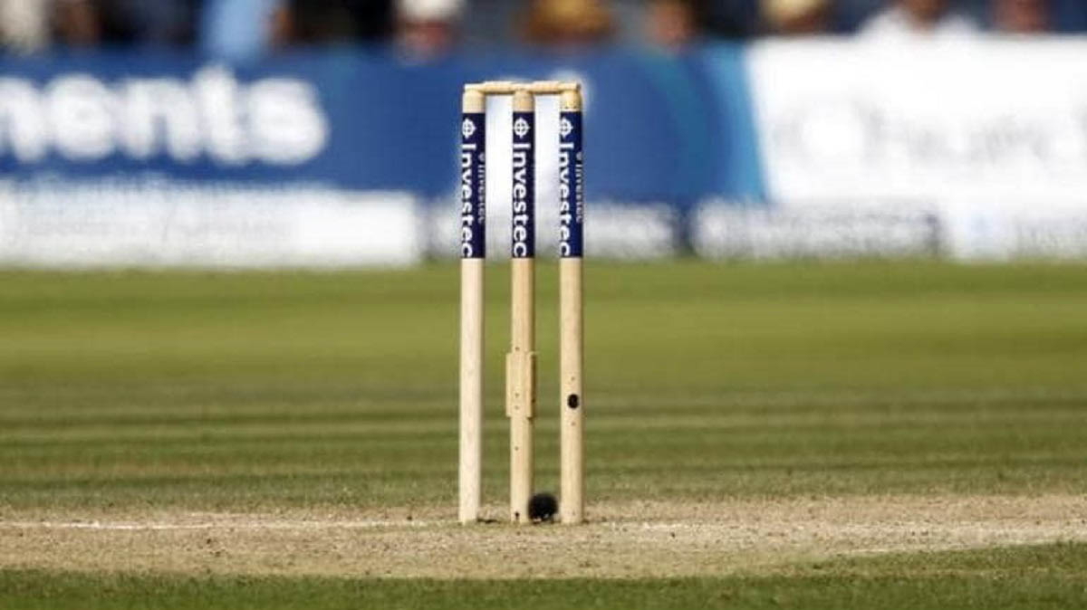 wicket stumps bails