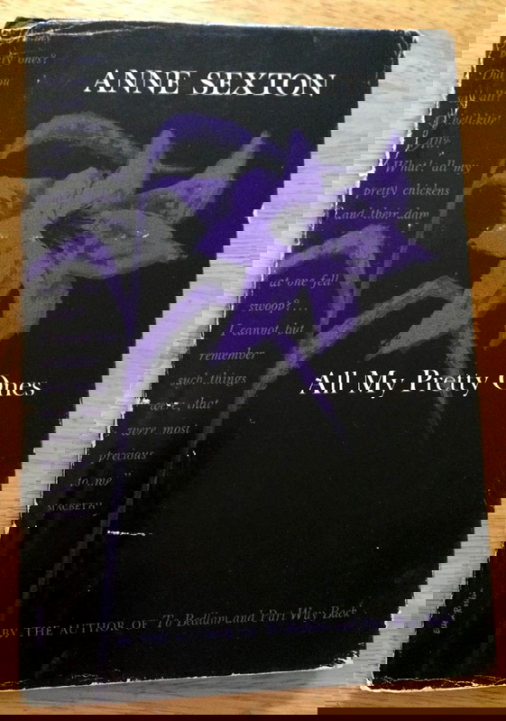 all my pretty ones book cover