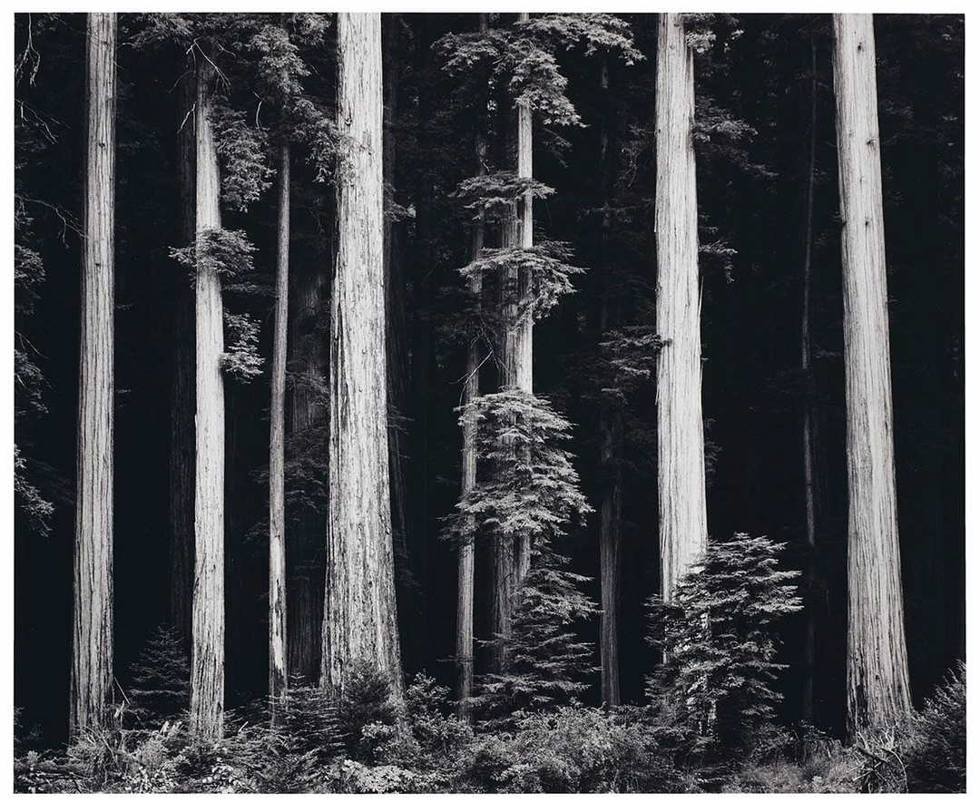 Who Is Ansel Adams? (7 Facts)