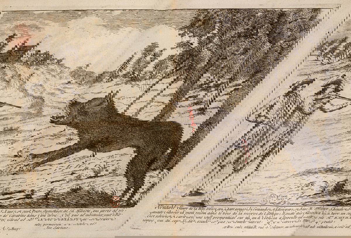 antoine facing the beast of gevaudan