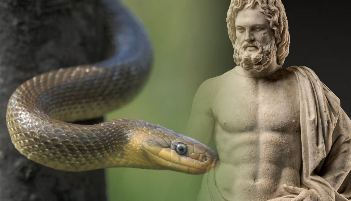 asclepius sculpture with snake