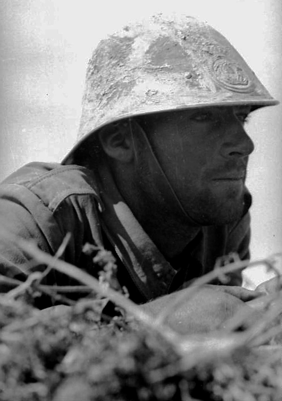 battle stalingrad romanian soldier
