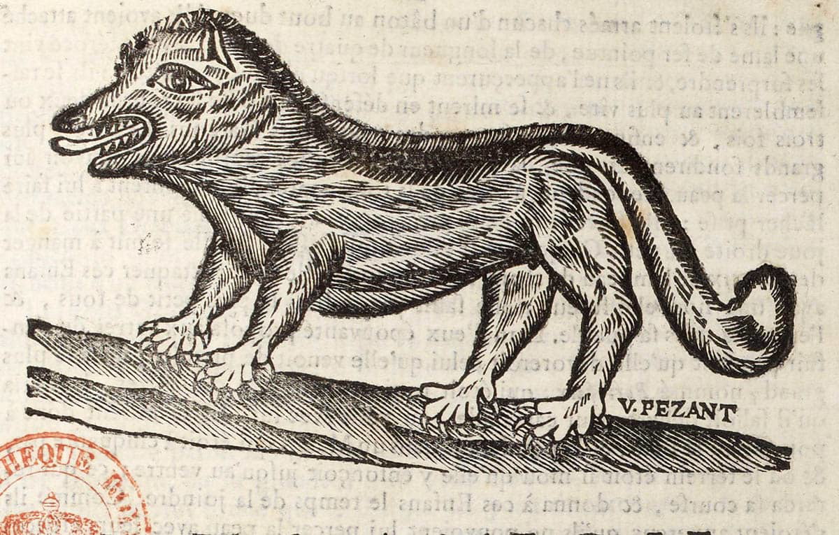 beast of gevaudan print with stamp