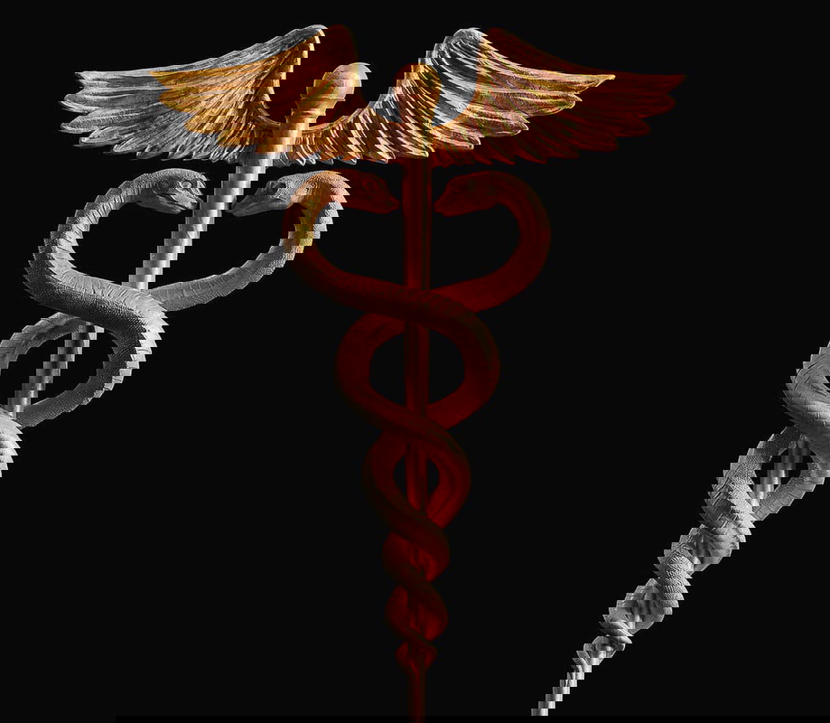 the caduceus rod
