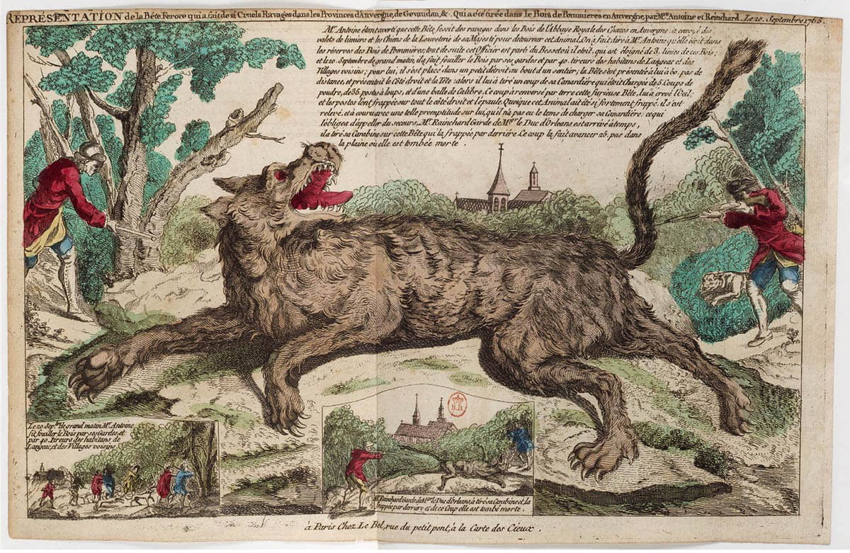 ferocious beast giant