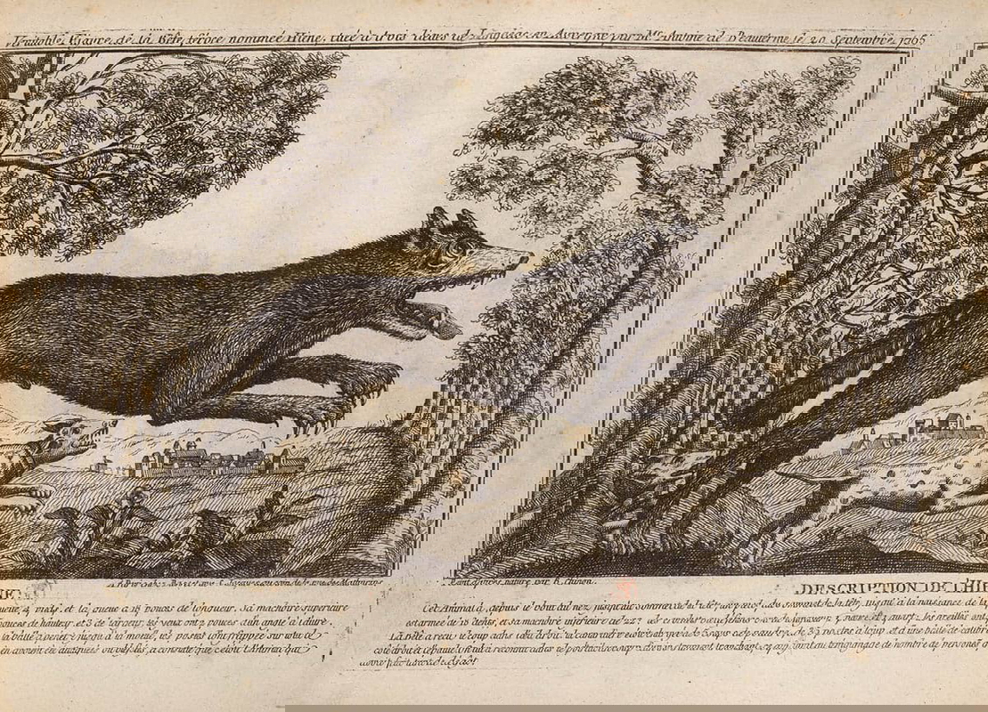 hyena description beast of gevaudan