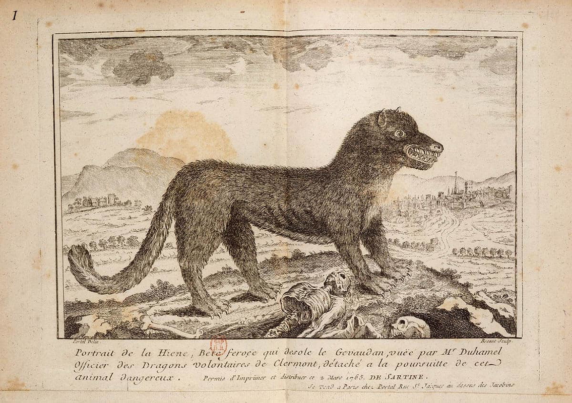 portrait of a hyena