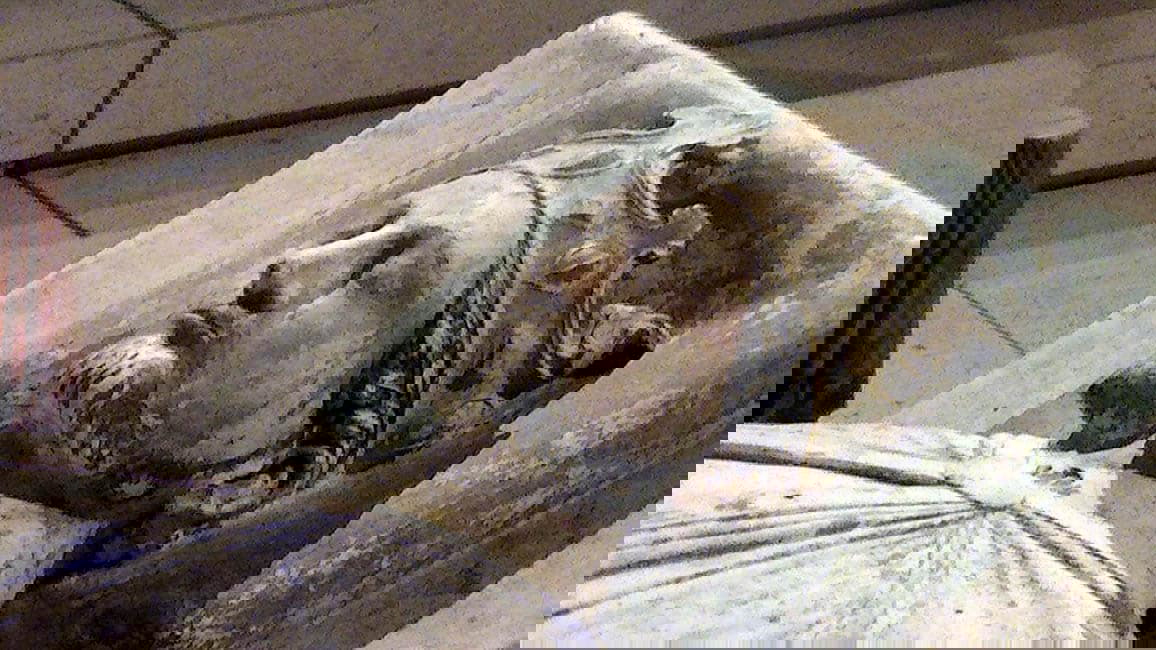 richard the lionheart effigy