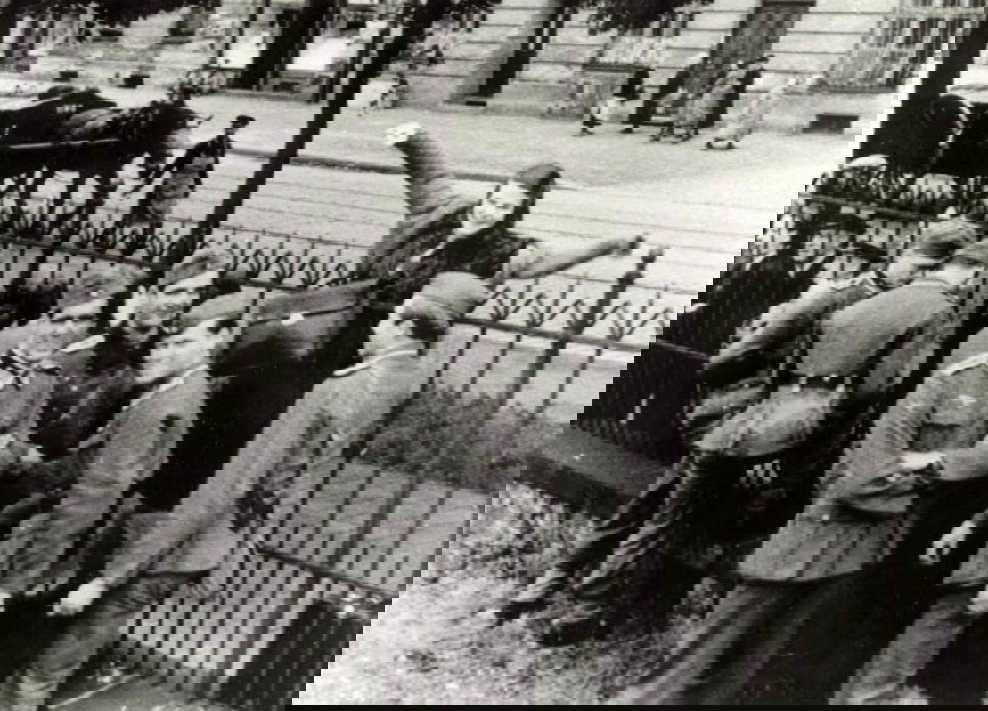sophie scholl white rose members munich