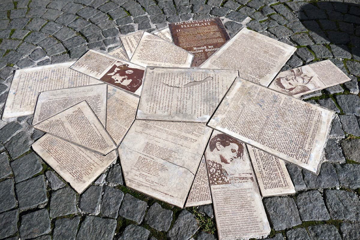 white rose memorial university munich