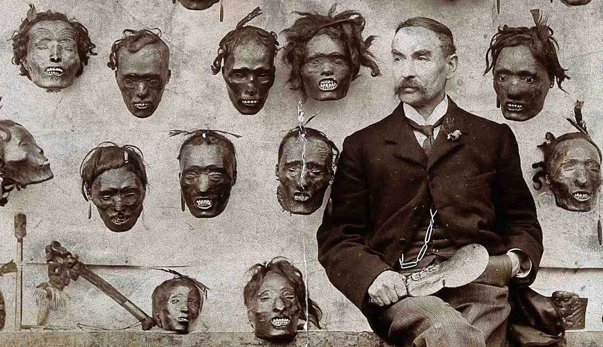 collection tattooed maori shrunken heads