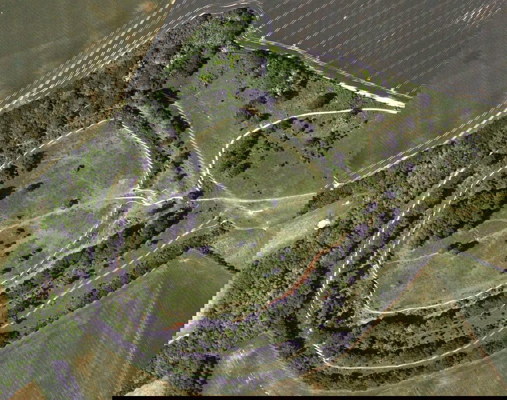 danebury hillfort celts