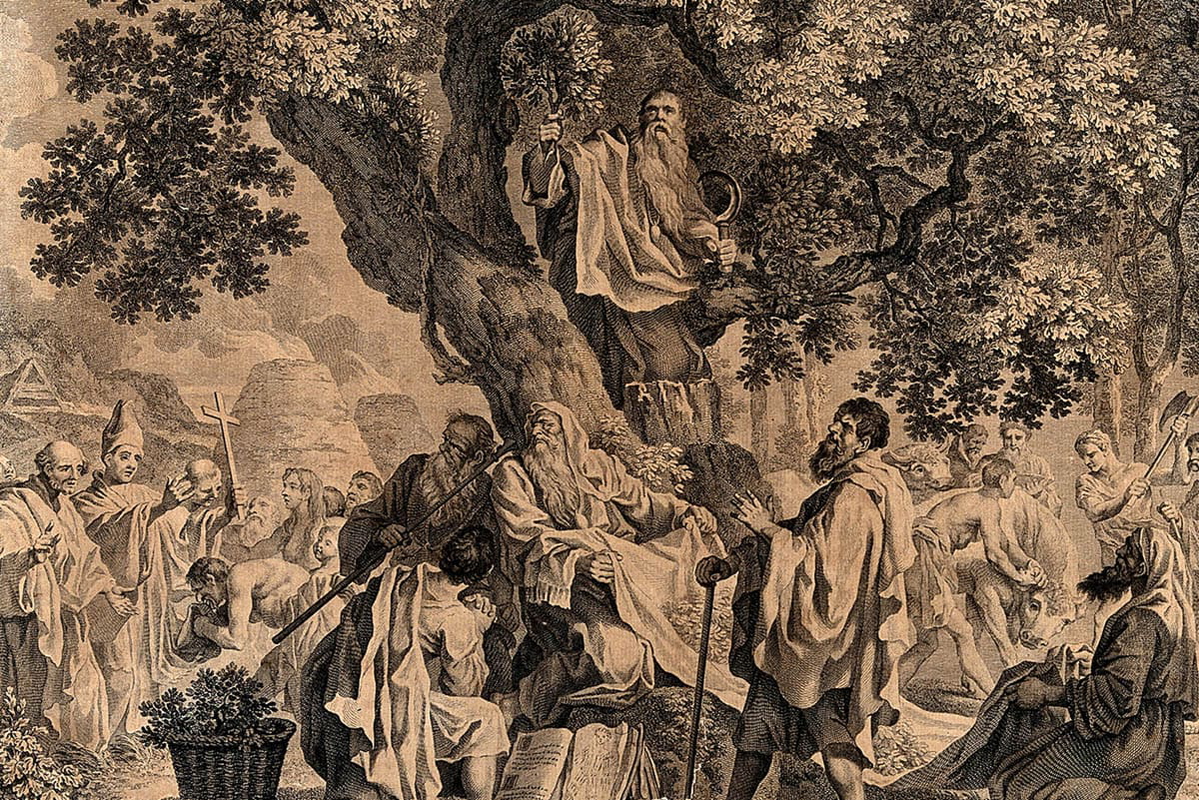druids celts