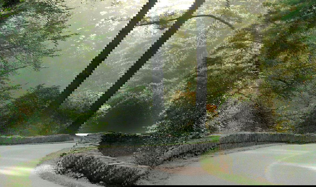 frederick law olmsted approach road
