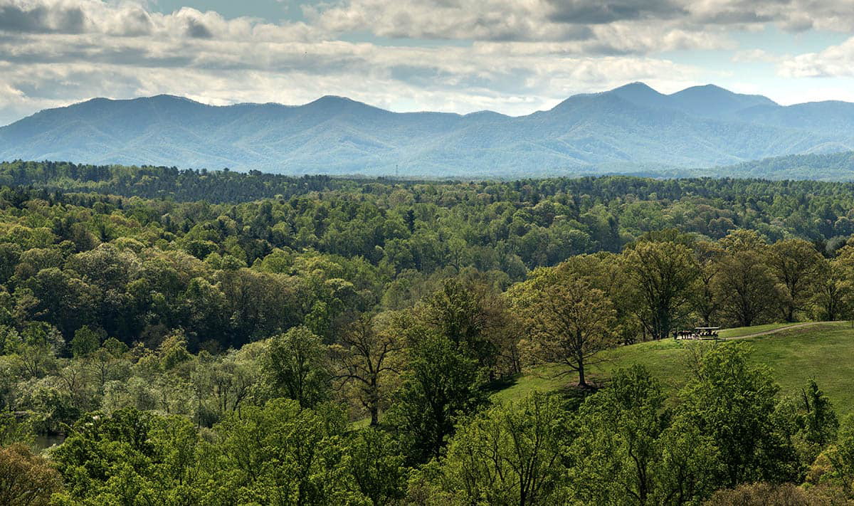 frederick law olmsted biltmore forest