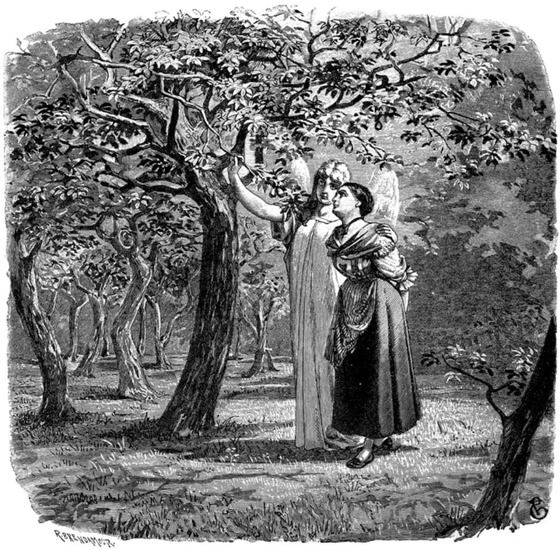 girl without hands fairy tale brothers grimm 19th century