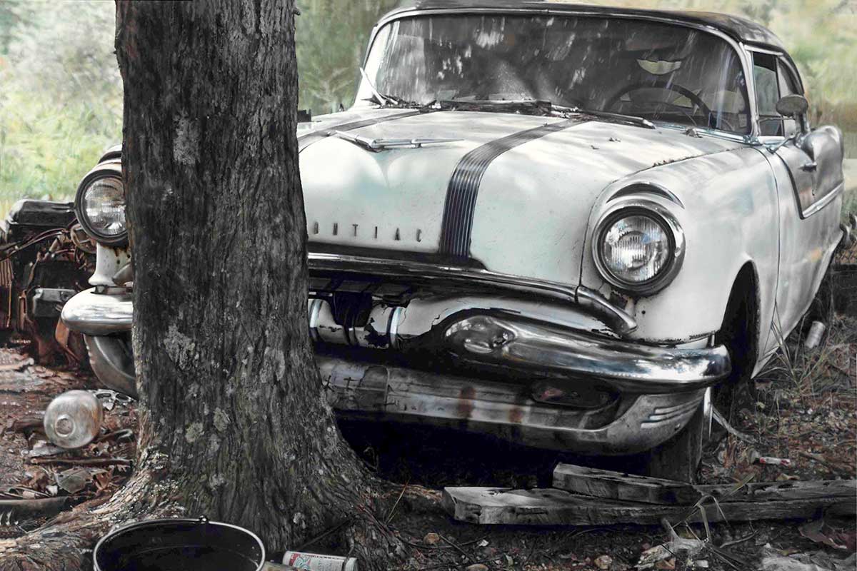 john salt pontiac tree trunk photorealism