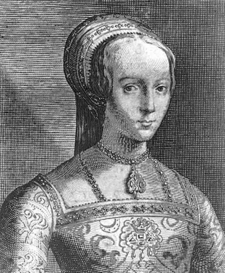 The NineDay Queen The Tragic Story of Lady Jane Grey