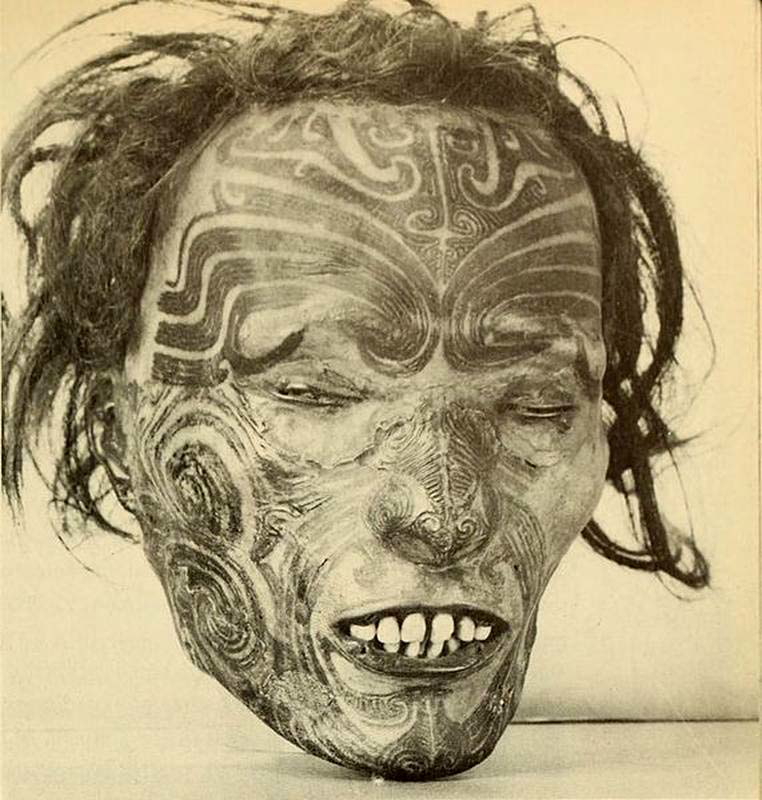 mokomokai maori shrunken head black white moko