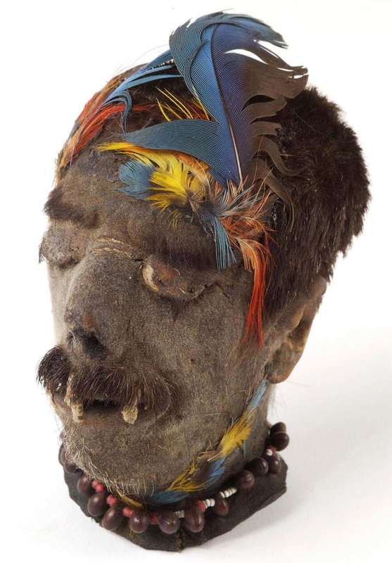 shrunken head south america