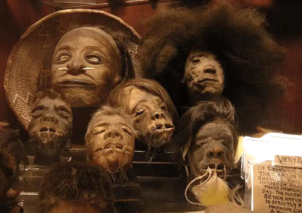 shrunken heads curio shoppe