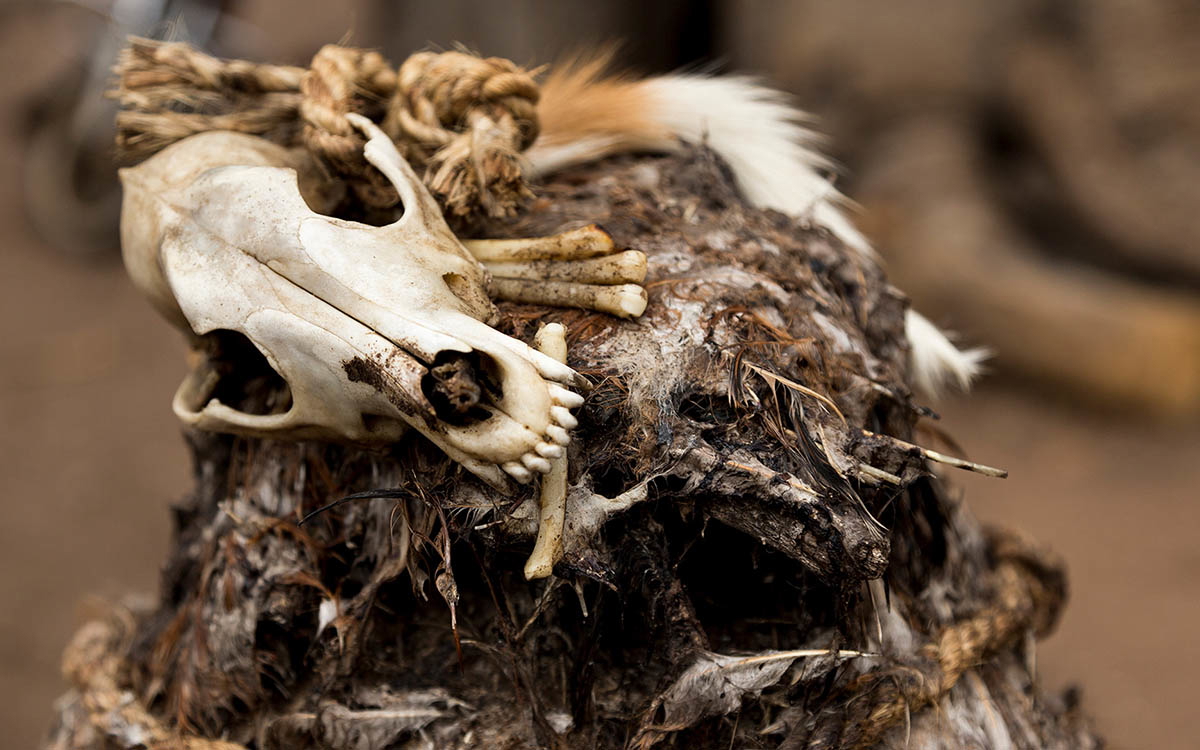 skull blood sacrifice west africa