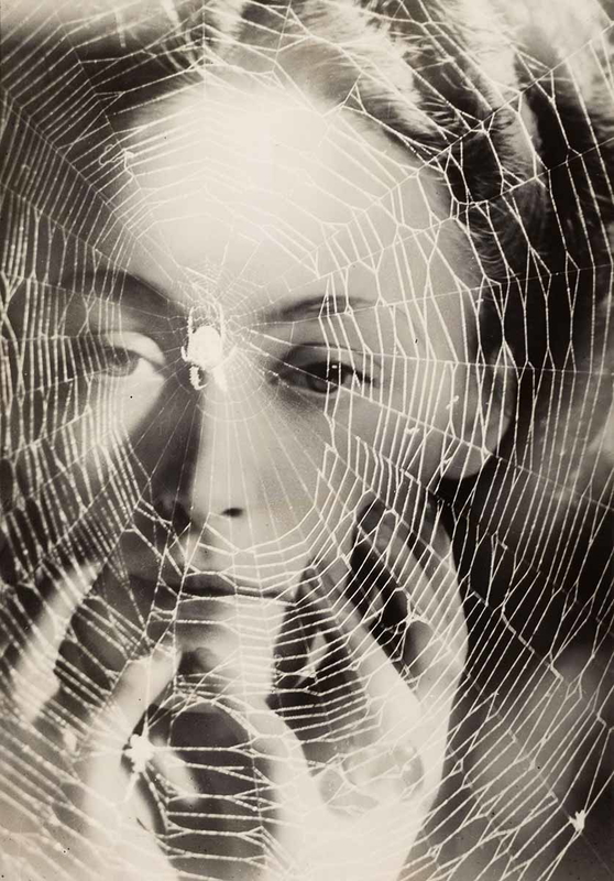 dora maar spider web photo