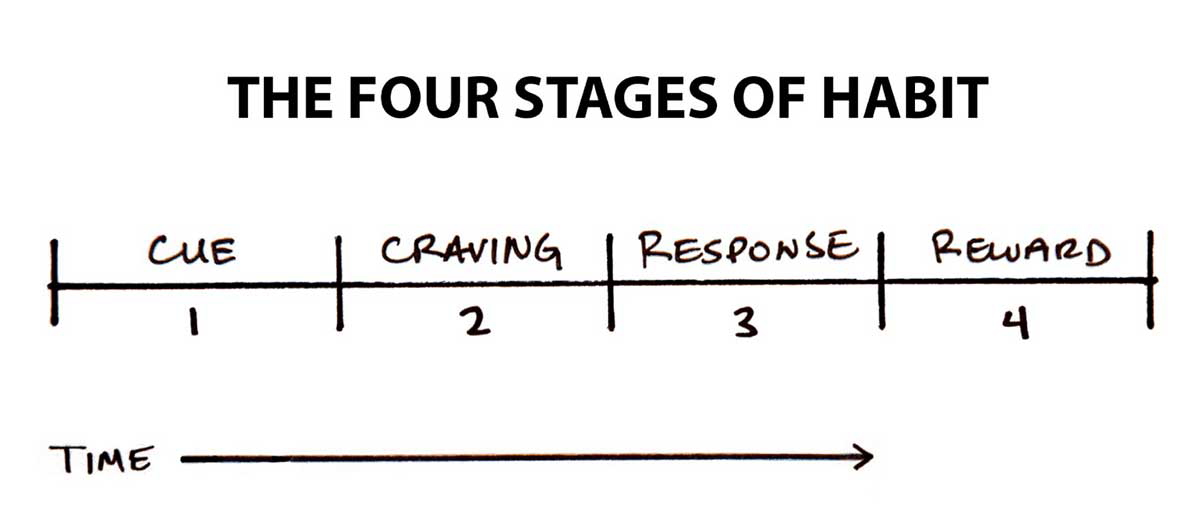 four stages habit