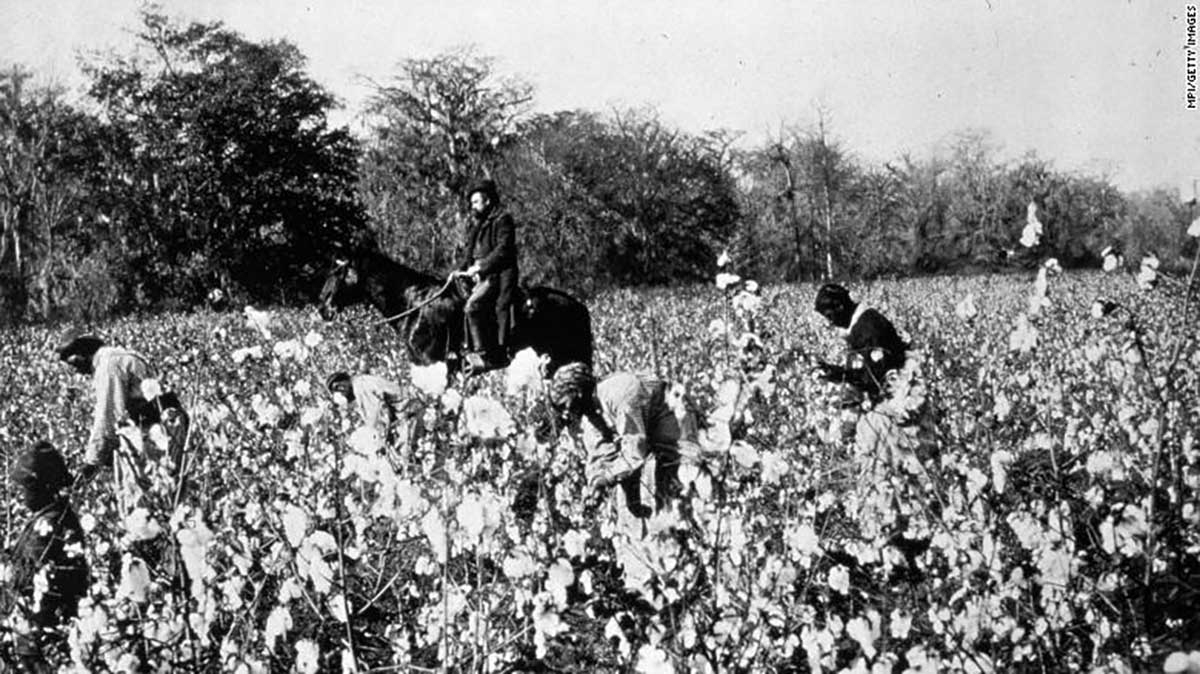 Cotton Pickers South America