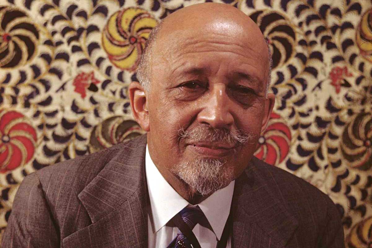 WEB Du Bois Color Portrait