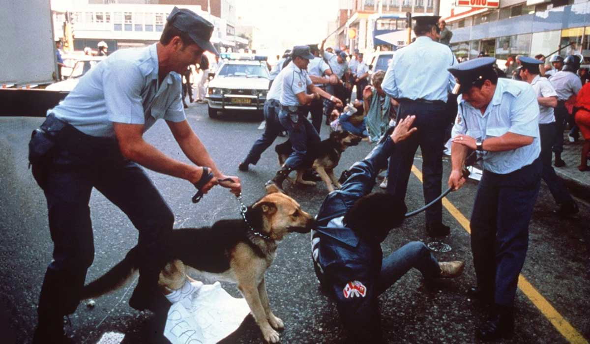 apartheid rioter police dog