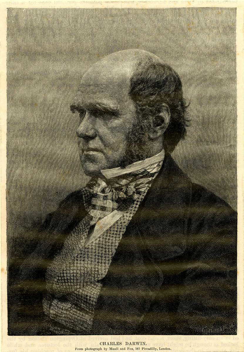 charles darwin photograph