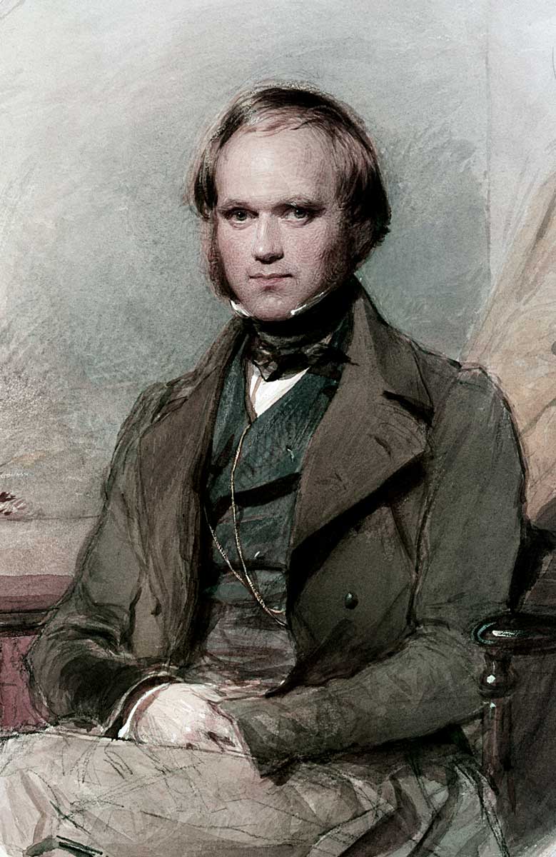 charles darwin seated as young man by richmond