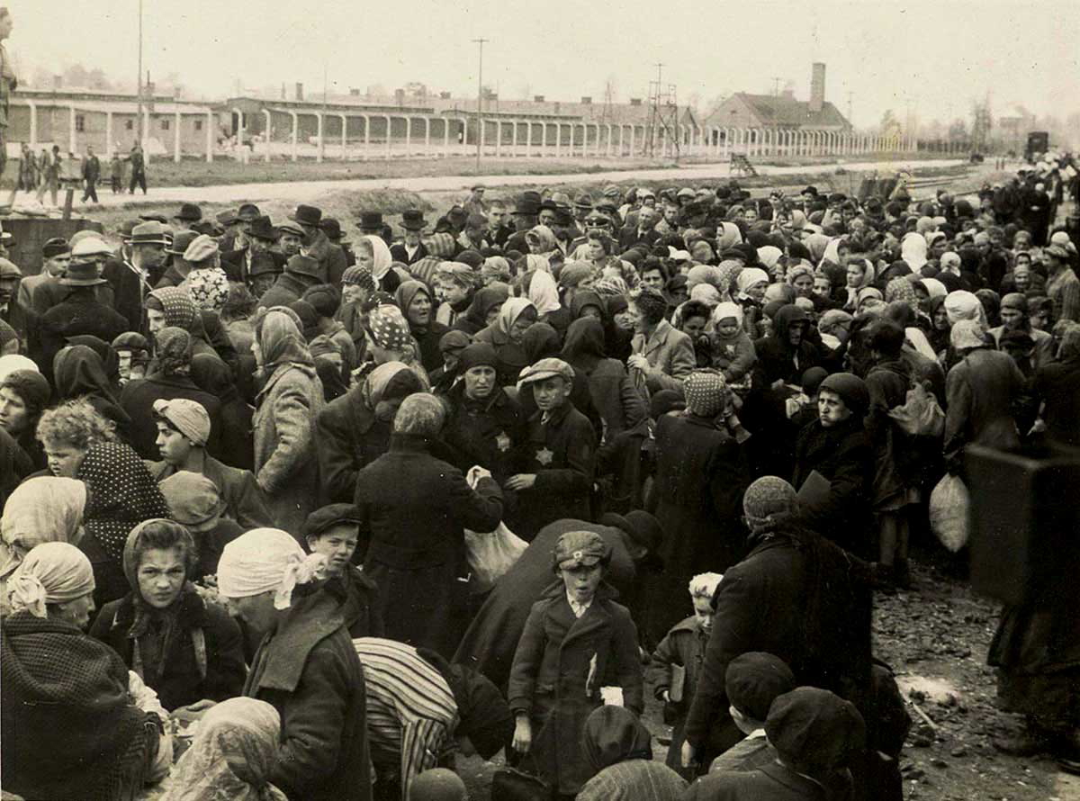 jews waiting selection auschwitz camp arrival
