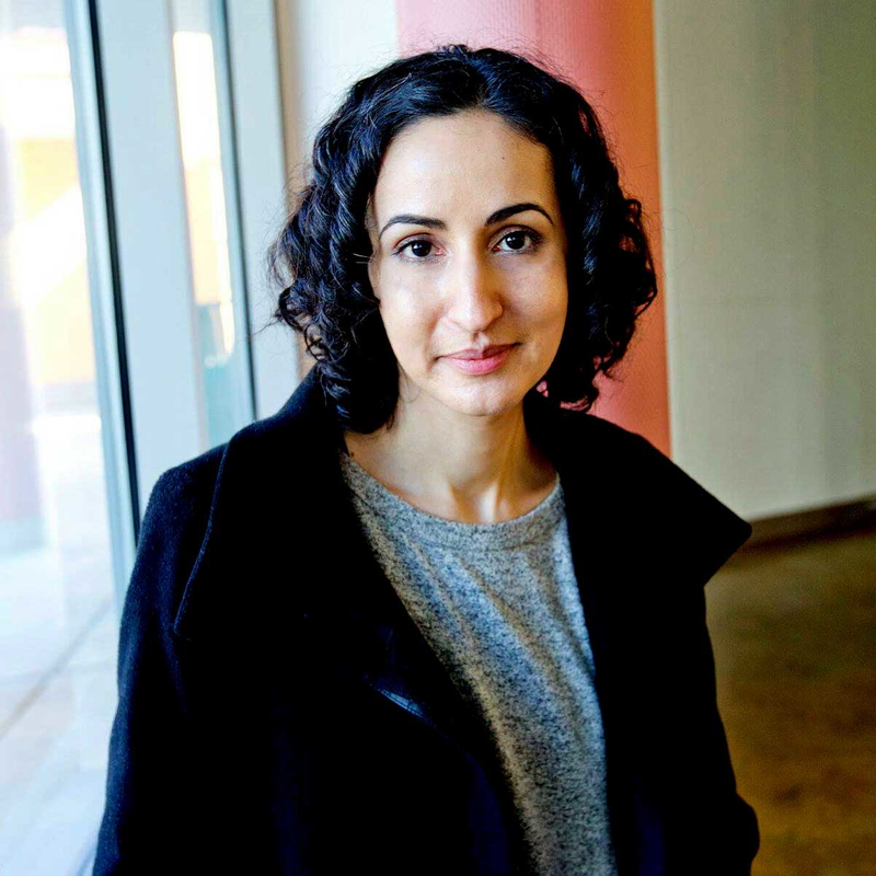mariam ghani south asian artist