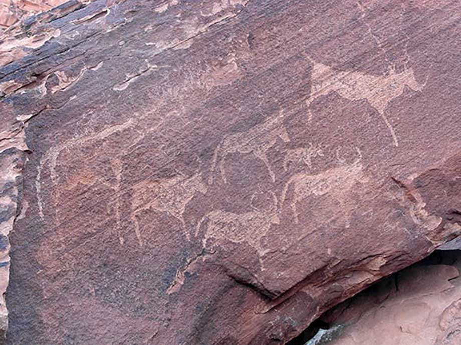 rock engraving Twyfelfontein