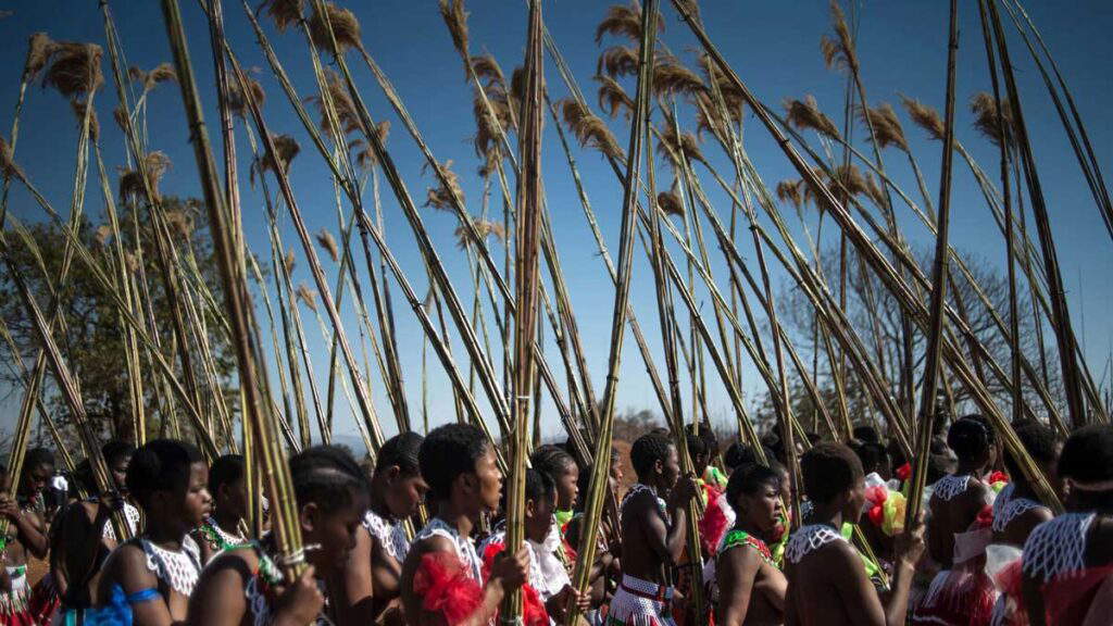 5 South African Languages and Their Histories (Nguni-Tsonga Group)