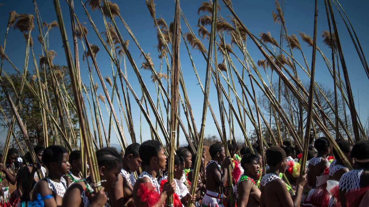 swazi reed dance