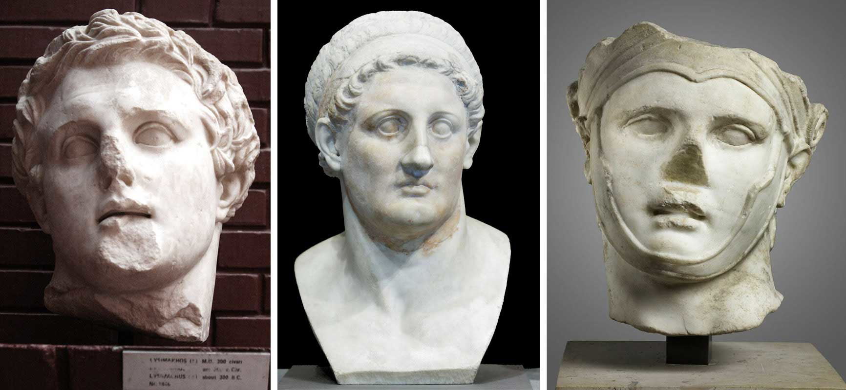 three ancient marble busts ptolemy seleucus lysimachus