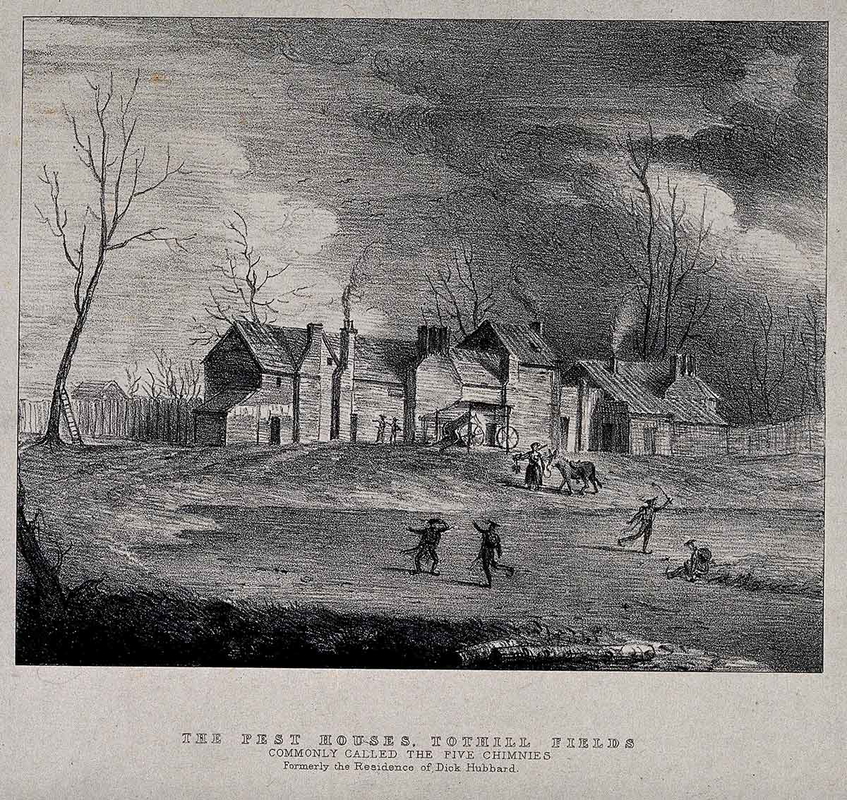 tothill plague pest house