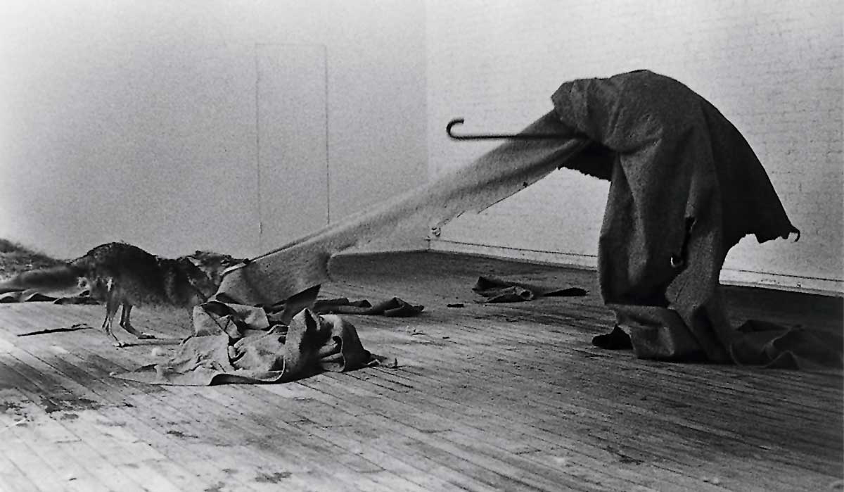 joseph beuys america coyote